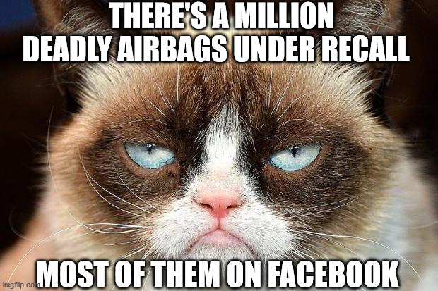 Grumpy Cat Not Amused | THERE'S A MILLION DEADLY AIRBAGS UNDER RECALL; MOST OF THEM ON FACEBOOK | image tagged in memes,grumpy cat not amused,grumpy cat | made w/ Imgflip meme maker