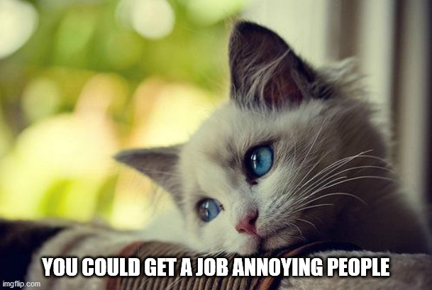First World Problems Cat | YOU COULD GET A JOB ANNOYING PEOPLE | image tagged in memes,first world problems cat | made w/ Imgflip meme maker