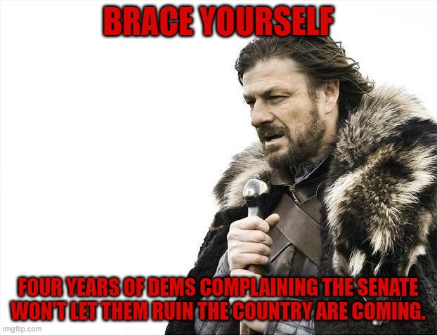 So Joe Biden is President . . . | BRACE YOURSELF; FOUR YEARS OF DEMS COMPLAINING THE SENATE WON'T LET THEM RUIN THE COUNTRY ARE COMING. | image tagged in memes,brace yourselves x is coming,rhetoric | made w/ Imgflip meme maker