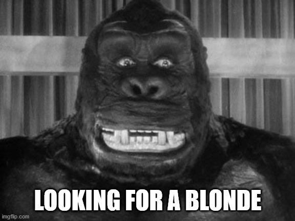 King kong | LOOKING FOR A BLONDE | image tagged in king kong | made w/ Imgflip meme maker