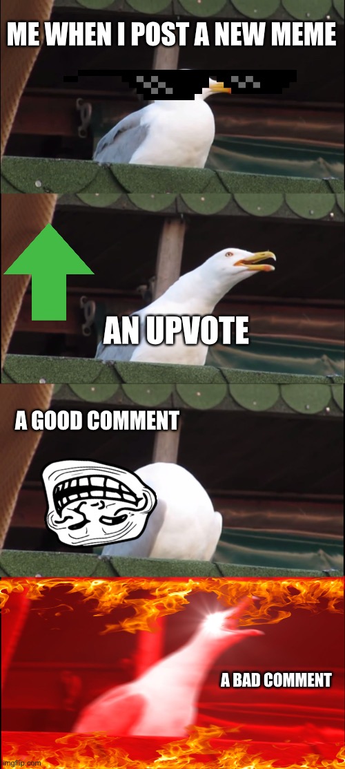 Inhaling Seagull | ME WHEN I POST A NEW MEME; AN UPVOTE; A GOOD COMMENT; A BAD COMMENT | image tagged in memes,inhaling seagull,upvotes,new memes | made w/ Imgflip meme maker