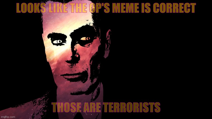 . | LOOKS LIKE THE OP'S MEME IS CORRECT THOSE ARE TERRORISTS | image tagged in g-man from half-life | made w/ Imgflip meme maker
