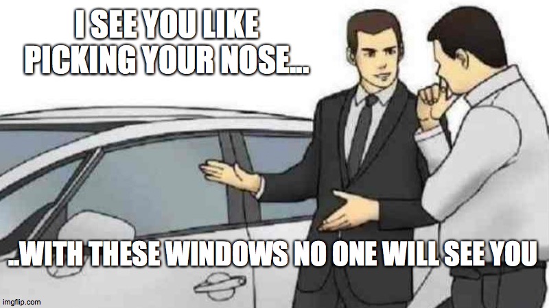 Car Salesman Slaps Roof Of Car | I SEE YOU LIKE PICKING YOUR NOSE... ..WITH THESE WINDOWS NO ONE WILL SEE YOU | image tagged in memes,car salesman slaps roof of car | made w/ Imgflip meme maker