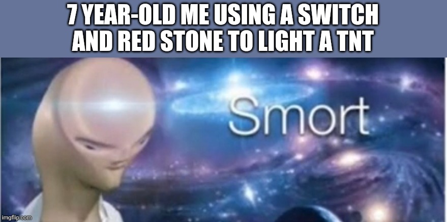 Meme man smort | 7 YEAR-OLD ME USING A SWITCH AND RED STONE TO LIGHT A TNT | image tagged in meme man smort | made w/ Imgflip meme maker