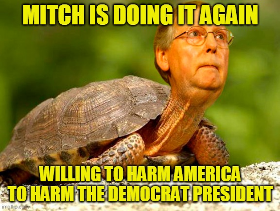 Hey right wingers, you support being hurt to help this man install a few more conservative judges right? | MITCH IS DOING IT AGAIN; WILLING TO HARM AMERICA TO HARM THE DEMOCRAT PRESIDENT | image tagged in mcconnell turtle | made w/ Imgflip meme maker