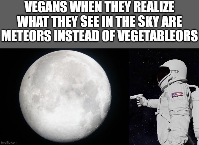 VEGANS WHEN THEY REALIZE WHAT THEY SEE IN THE SKY ARE METEORS INSTEAD OF VEGETABLEORS | image tagged in full moon,memes,always has been,vegans | made w/ Imgflip meme maker