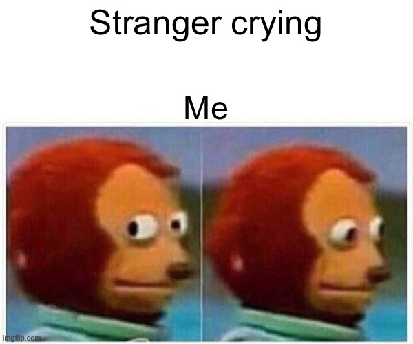 When you finally decide to go out | Stranger crying; Me | image tagged in memes,monkey puppet | made w/ Imgflip meme maker