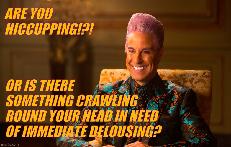 Caesar Fl | ARE YOU HICCUPPING!?! OR IS THERE    SOMETHING CRAWLING    ROUND YOUR HEAD IN NEED OF IMMEDIATE DELOUSING? | image tagged in caesar fl | made w/ Imgflip meme maker