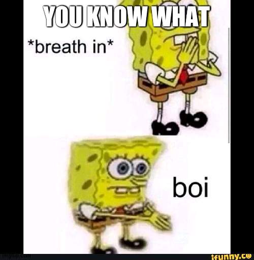 Miniapples for real | YOU KNOW WHAT | image tagged in spongebob boi,political | made w/ Imgflip meme maker