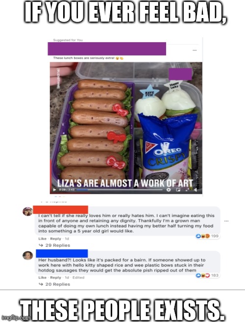 This is why we can't have nice stuff |  IF YOU EVER FEEL BAD, THESE PEOPLE EXISTS. | image tagged in blank white template,facebook,lunch,good stuff,food | made w/ Imgflip meme maker