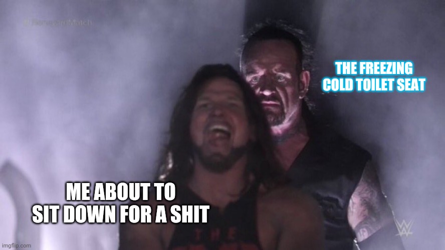 AJ Styles & Undertaker | THE FREEZING COLD TOILET SEAT; ME ABOUT TO SIT DOWN FOR A SHIT | image tagged in aj styles undertaker,memes | made w/ Imgflip meme maker