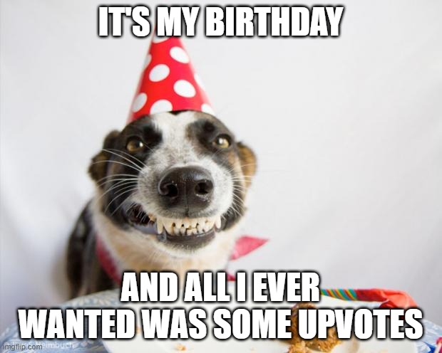 Upvotes Make Great Gifts | IT'S MY BIRTHDAY; AND ALL I EVER WANTED WAS SOME UPVOTES | image tagged in birthday dog | made w/ Imgflip meme maker