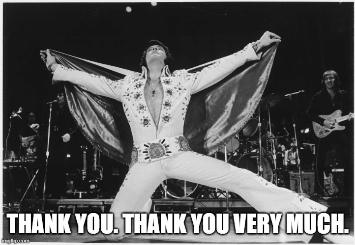 Elvis  | THANK YOU. THANK YOU VERY MUCH. | image tagged in elvis | made w/ Imgflip meme maker