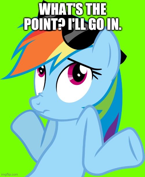 Shrugged Rainbow Dash (MLP) | WHAT'S THE POINT? I'LL GO IN. | image tagged in shrugged rainbow dash mlp | made w/ Imgflip meme maker