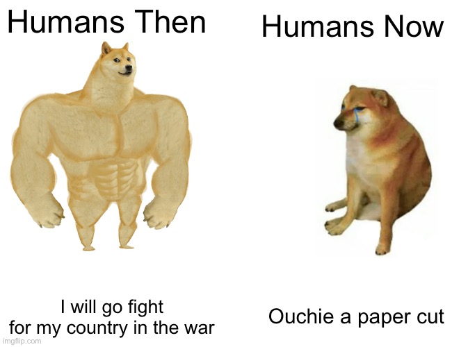 Buff Doge vs. Cheems | Humans Then; Humans Now; Ouchie a paper cut; I will go fight for my country in the war | image tagged in memes,buff doge vs cheems | made w/ Imgflip meme maker
