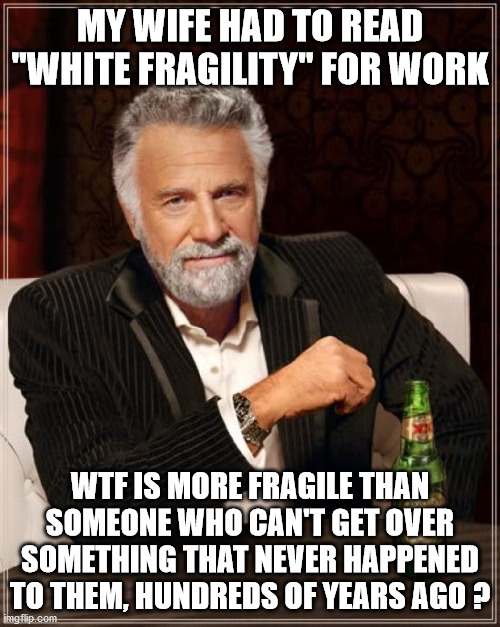 The Most Interesting Man In The World | MY WIFE HAD TO READ "WHITE FRAGILITY" FOR WORK; WTF IS MORE FRAGILE THAN SOMEONE WHO CAN'T GET OVER SOMETHING THAT NEVER HAPPENED TO THEM, HUNDREDS OF YEARS AGO ? | image tagged in memes,the most interesting man in the world | made w/ Imgflip meme maker