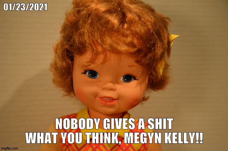 Nobody gives a shit what you think, Megyn Kelly! | 01/23/2021; NOBODY GIVES A SHIT WHAT YOU THINK, MEGYN KELLY!! | image tagged in political meme | made w/ Imgflip meme maker