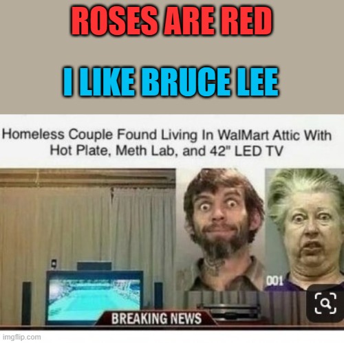 Wait, so were they homeless or not?? | ROSES ARE RED; I LIKE BRUCE LEE | image tagged in memes,roses are red,homeless | made w/ Imgflip meme maker