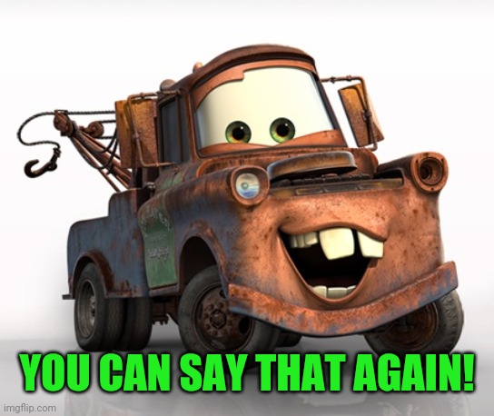 Tow Mater 101 | YOU CAN SAY THAT AGAIN! | image tagged in tow mater 101 | made w/ Imgflip meme maker