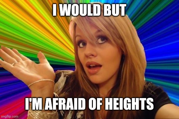 Dumb Blonde Meme | I WOULD BUT I'M AFRAID OF HEIGHTS | image tagged in memes,dumb blonde | made w/ Imgflip meme maker