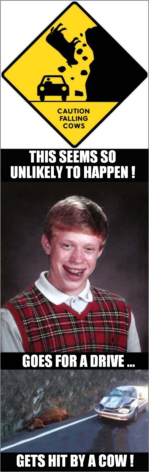 Bad Luck Brian Vs Cows | THIS SEEMS SO UNLIKELY TO HAPPEN ! GOES FOR A DRIVE ... GETS HIT BY A COW ! | image tagged in fun,bad luck brian,falling,cows | made w/ Imgflip meme maker
