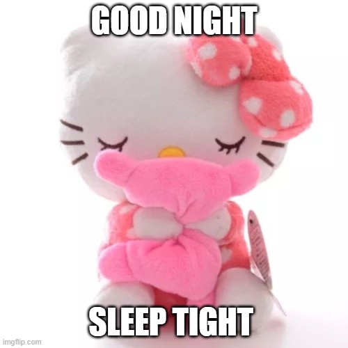 goodigt | GOOD NIGHT; SLEEP TIGHT | image tagged in very gay and emo,cute meme,sanrio meme,hello kitty,meme,good night | made w/ Imgflip meme maker