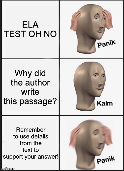 Reading Quiz | ELA TEST OH NO; Why did the author write this passage? Remember to use details from the text to support your answer! | image tagged in memes,panik kalm panik,reading,test,quiz | made w/ Imgflip meme maker