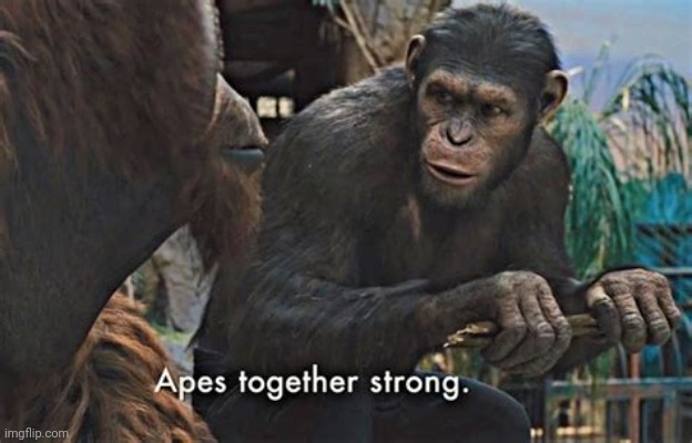 Apes... Time to make ape memes now | image tagged in apes strong together | made w/ Imgflip meme maker