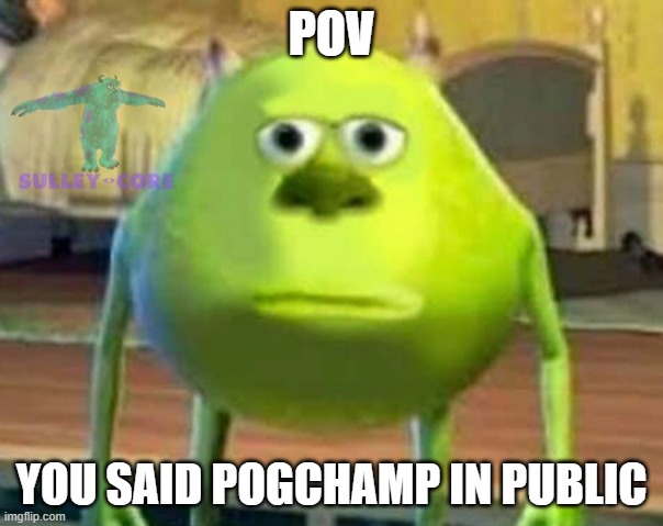 B R U H | POV; YOU SAID POGCHAMP IN PUBLIC | image tagged in monsters inc | made w/ Imgflip meme maker
