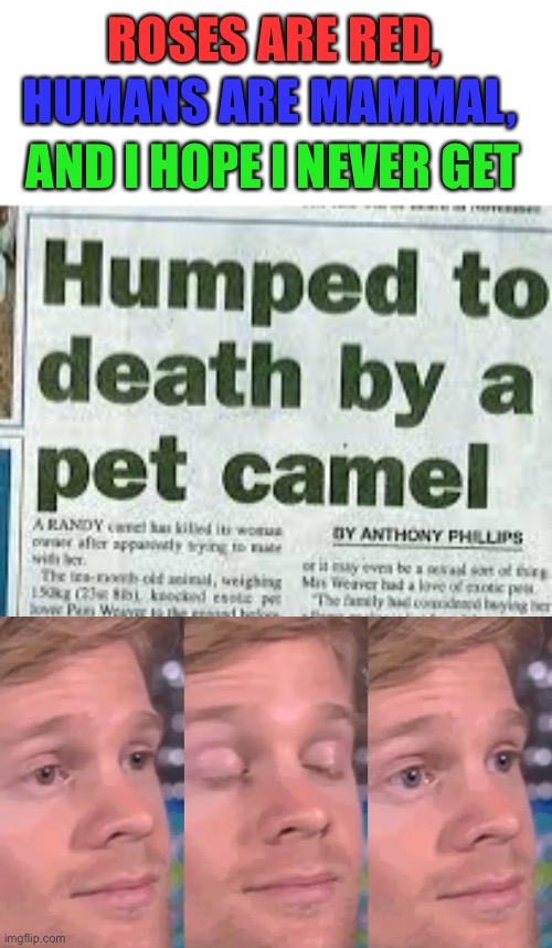 Doesnt seem healthy or pleasant |  ROSES ARE RED, HUMANS ARE MAMMAL, AND I HOPE I NEVER GET | image tagged in closes eyes,camel,headlines,memes,funny memes,lol | made w/ Imgflip meme maker
