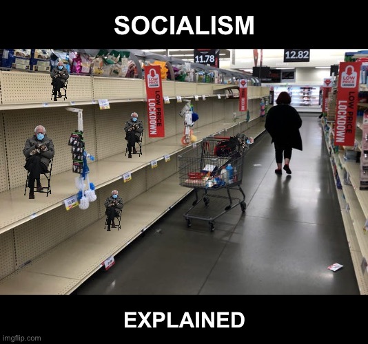 The only thing left on the shelf | SOCIALISM; EXPLAINED | image tagged in bernie,socialism | made w/ Imgflip meme maker