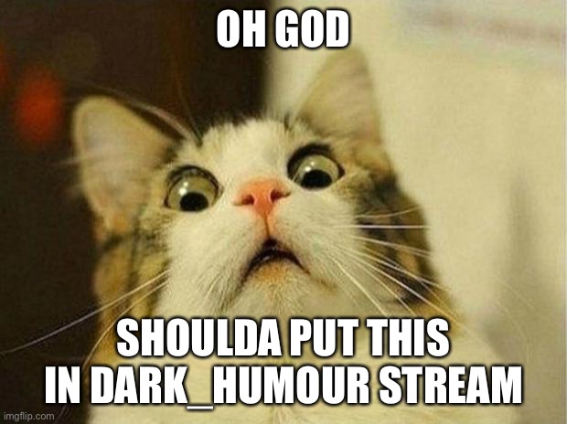 Scared Cat Meme | OH GOD SHOULDA PUT THIS IN DARK_HUMOUR STREAM | image tagged in memes,scared cat | made w/ Imgflip meme maker
