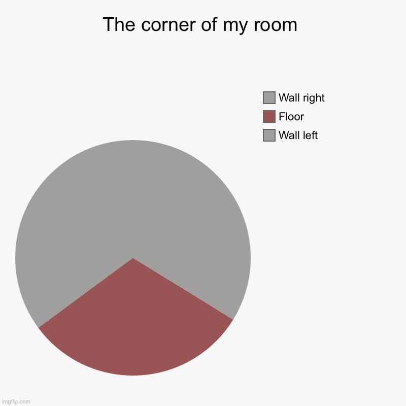 The corner of my room | Wall left, Floor, Wall right | image tagged in charts,pie charts | made w/ Imgflip chart maker