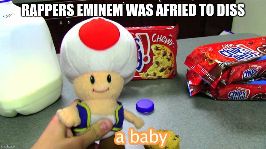milk and cookies | RAPPERS EMINEM WAS AFRAID TO DISS | image tagged in memes | made w/ Imgflip meme maker