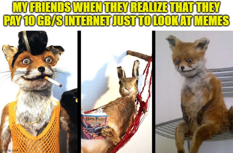 *Laughs in 256kbps* | MY FRIENDS WHEN THEY REALIZE THAT THEY PAY 10 GB/S INTERNET JUST TO LOOK AT MEMES | image tagged in speed | made w/ Imgflip meme maker