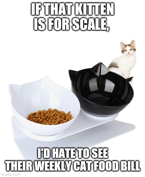 Kitten food | IF THAT KITTEN IS FOR SCALE, I'D HATE TO SEE THEIR WEEKLY CAT FOOD BILL | image tagged in cats,kitten,food | made w/ Imgflip meme maker