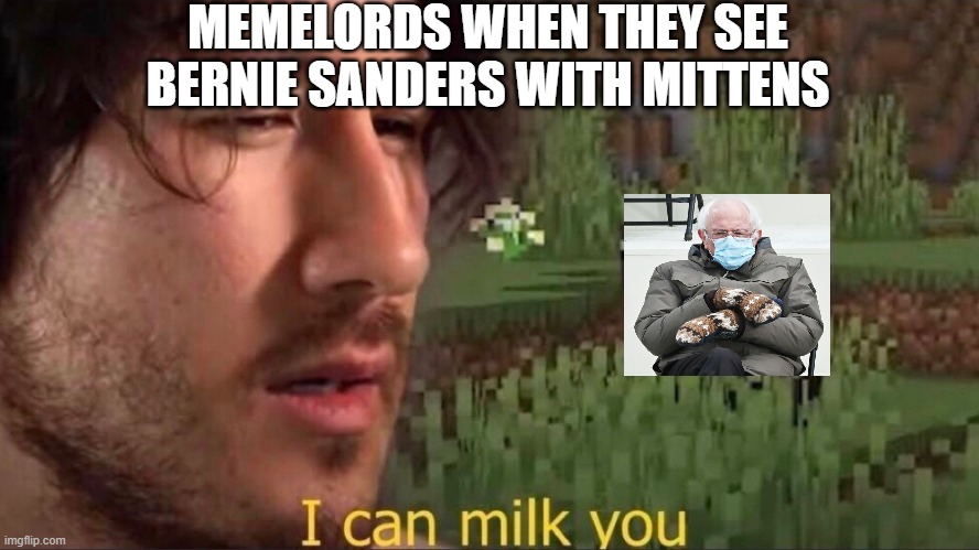 Bernie Milking | MEMELORDS WHEN THEY SEE BERNIE SANDERS WITH MITTENS | image tagged in i can milk you template,bernie mittens,shitpost | made w/ Imgflip meme maker