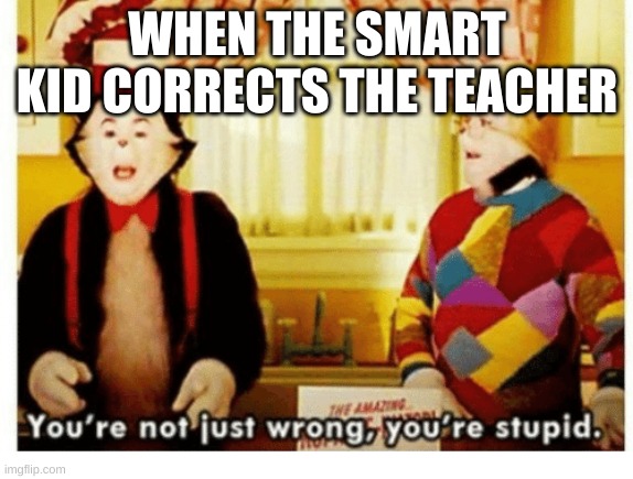 True for anyone in school |  WHEN THE SMART KID CORRECTS THE TEACHER | image tagged in you're not just wrong your stupid | made w/ Imgflip meme maker