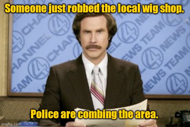 I can't help it. |  Someone just robbed the local wig shop. Police are combing the area. | image tagged in memes,ron burgundy,funny | made w/ Imgflip meme maker