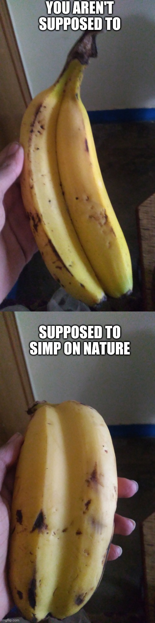 Simp | YOU AREN'T SUPPOSED TO; SUPPOSED TO SIMP ON NATURE | image tagged in funny,banana | made w/ Imgflip meme maker