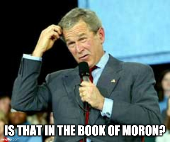 George W. Bush - Book of Moron 001 | IS THAT IN THE BOOK OF MORON? | image tagged in george w bush puzzled 001 | made w/ Imgflip meme maker