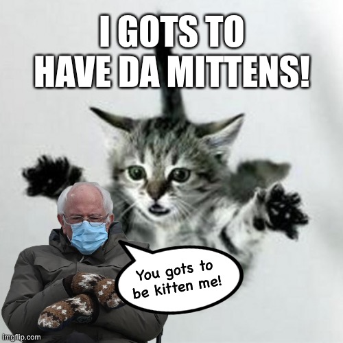 Da Kitten Wantz Da Mittens | I GOTS TO HAVE DA MITTENS! You gots to be kitten me! | image tagged in bernie,bernie mittens,mittens,bernie sanders,kittens,i can has cheezburger cat | made w/ Imgflip meme maker