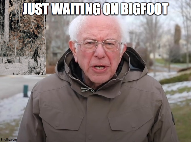 Bernie Sanders Once Again Asking | JUST WAITING ON BIGFOOT | image tagged in bernie sanders once again asking | made w/ Imgflip meme maker