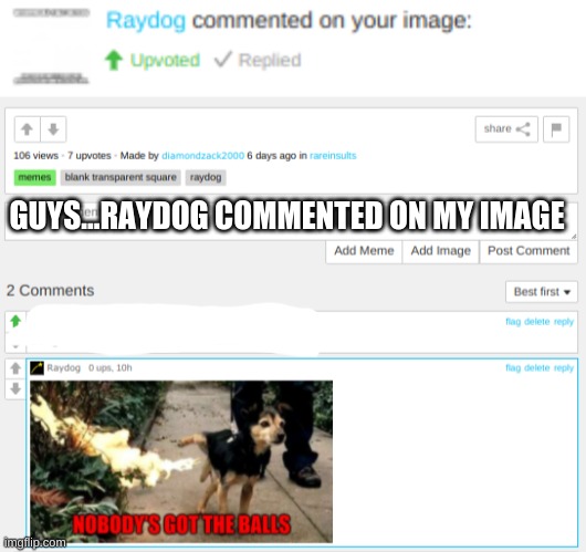 GUYS...RAYDOG COMMENTED ON MY IMAGE | made w/ Imgflip meme maker