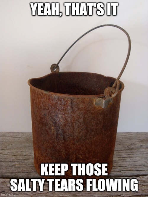 Rust bucket | YEAH, THAT'S IT KEEP THOSE SALTY TEARS FLOWING | image tagged in rust bucket | made w/ Imgflip meme maker