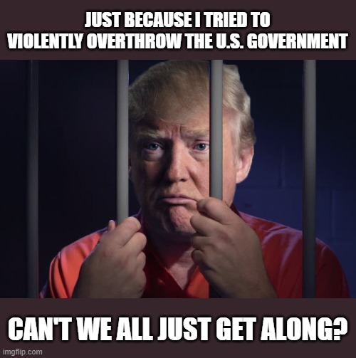 Healing Begins When this Man is in Jail! | JUST BECAUSE I TRIED TO VIOLENTLY OVERTHROW THE U.S. GOVERNMENT; CAN'T WE ALL JUST GET ALONG? | image tagged in sad trump,criminal,traitor,murderer,psychopath,impeached twice | made w/ Imgflip meme maker