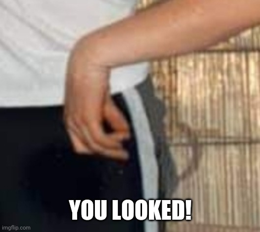 You looked | YOU LOOKED! | image tagged in fun | made w/ Imgflip meme maker