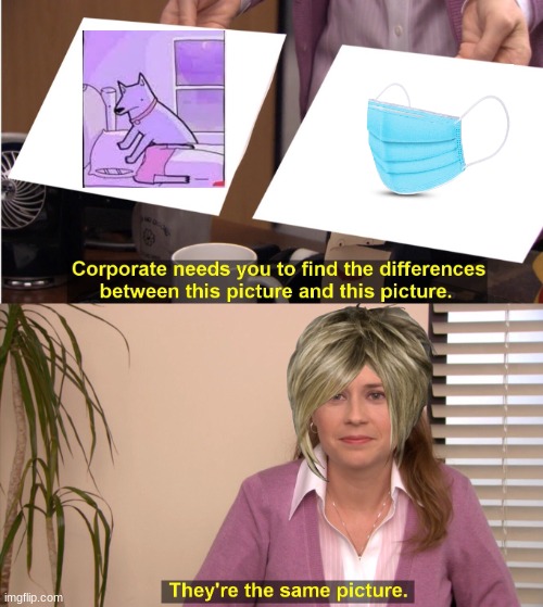 They're The Same Picture | image tagged in memes,they're the same picture | made w/ Imgflip meme maker