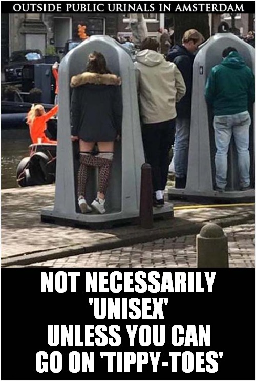 Going Dutch ? | NOT NECESSARILY 'UNISEX'; UNLESS YOU CAN GO ON 'TIPPY-TOES' | image tagged in toilets,unisex,tippy toes | made w/ Imgflip meme maker