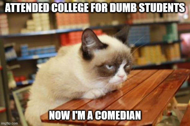 Grumpy Cat Table |  ATTENDED COLLEGE FOR DUMB STUDENTS; NOW I'M A COMEDIAN | image tagged in memes,grumpy cat table,grumpy cat | made w/ Imgflip meme maker